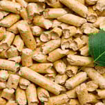 Biomass Boilers